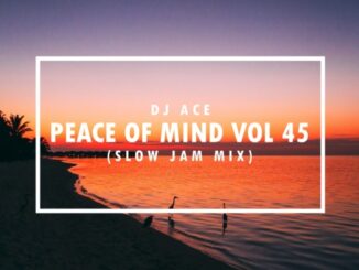 DJ Ace - 45 Slow Jam House Mix