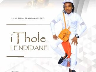 Ithole lendidane - Isihlahla senhlakanipho