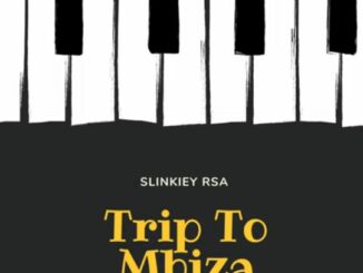 Slinkiey - Trip To Mbiza