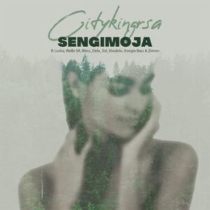 Citykingrsa · Sengimoja