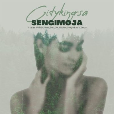 Citykingrsa · Sengimoja