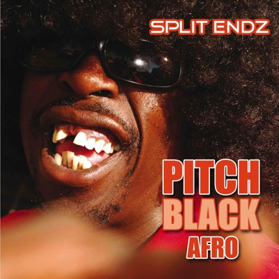 Pitch Black Afro – Never Let You Go