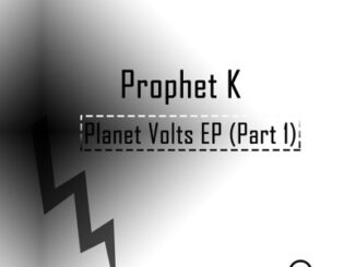 Prophet K - Dimethicone Acid (Main Afro Voltage)