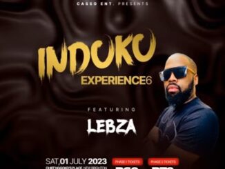 Lebza - Induku Experience 6 (Gqom Mix)