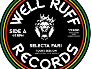 Selecta Fari - Roots of House Session