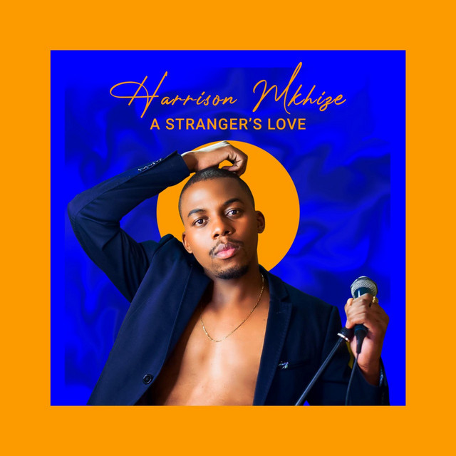 Harrison Mkhize - I'm gonna be alright