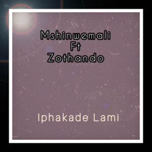 Mshinwemali - Iphakade Lami
