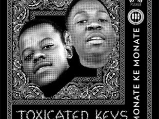 Toxicated Keys – Ke Monate Vol 1