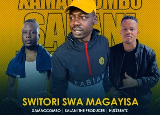 Salani The Producer - Switori Swa Magayisa