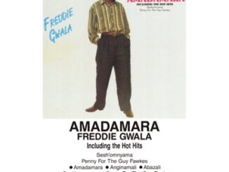 Freddie Gwala - Amadamara