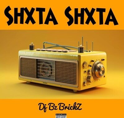 Dj Bz brickZ - Shxta Shxta