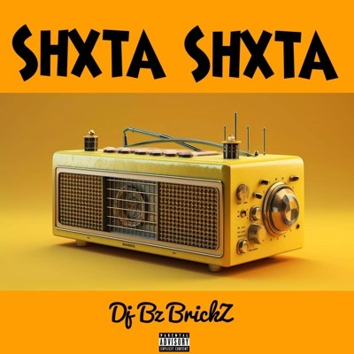 Dj Bz brickZ - Shxta Shxta