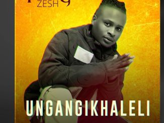 Young Zesh - Ungangikhaleli