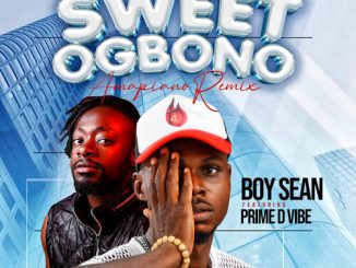 Boy Sean - Sweet Ogbono (Amapiano Remix)
