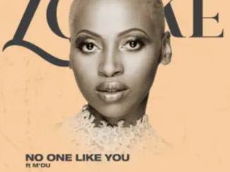 Zonke – No One Like You ft. M’du