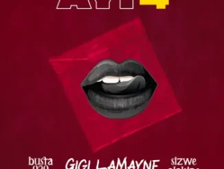 Busta 929 & Gigi Lamayne – Ayi 4 Ft. Sizwe Alakine