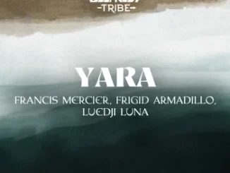 Francis Mercier, Frigid Armadillo & Luedji Luna – Yara