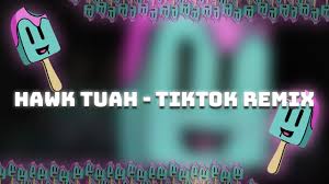 Hawk Tuah Remix