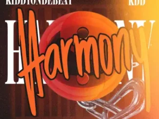 Kiddyondebeat & KDD – Harmony EP