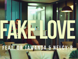 DJ Ngwazi - Fake Love Ft.Dr Tawanda & Nelcy B