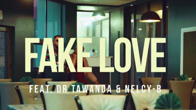 DJ Ngwazi - Fake Love Ft.Dr Tawanda & Nelcy B