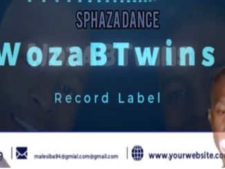 WozaBTwins - Spaza Dance