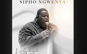  Sipho Ngwenya - Liyabasebenzela 