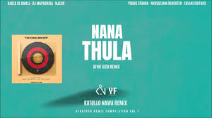 Nana Thula Remix