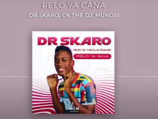 Dr Skaro - Pelo ya gana Ft. CK THE DJ, Mukosi