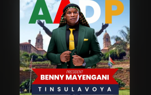 Benny Mayengani - Tinsulavoya 