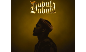 Harry Cane – Dubula Dubula ALBUM