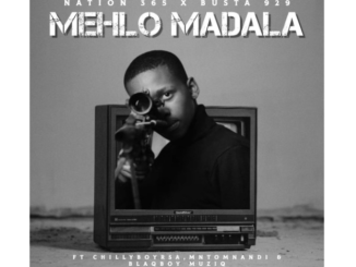 Nation-365 & Busta 929 – Mehlo Madala ft. Mntomnandi, Blaqboy Muziq & ChillyboyRSA