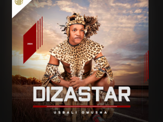 Dizastar - Ochazwa yimi