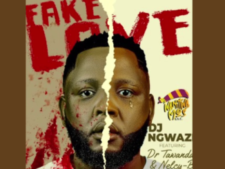 DJ Ngwazi – Fake Love