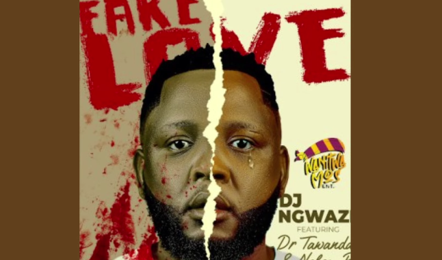 DJ Ngwazi – Fake Love