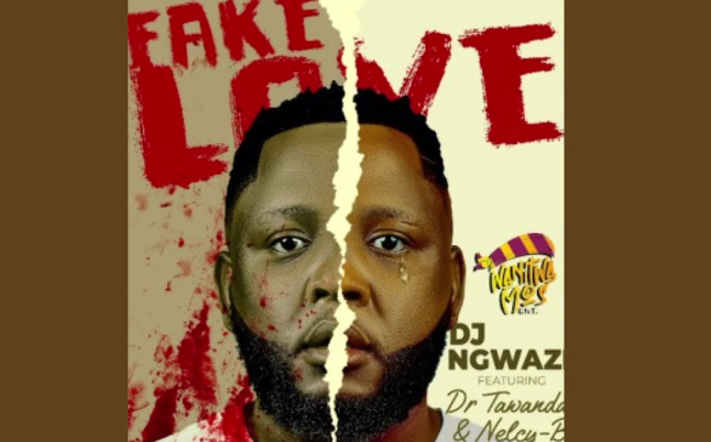 DJ Ngwazi – Fake Love