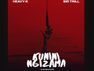 Heavy K - Kunini Ngizama Ft. Sir Trill & ilovelethu