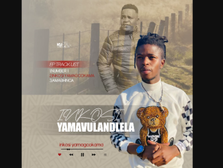 Inkosi yamavulandlela - Inkosi yamagcokama