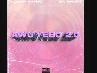 N Deep MusiQ Ft. Da Short - Awu'yebo 2.0