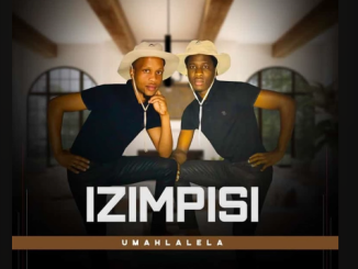 Izimpisi - Ubaba omncane