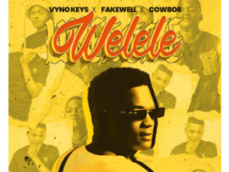 Vyno Keys, Fakewell & Cowboii – Welele ft. Cater iv & Dooushii