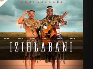 Izihlabanii - Umjolo Ft Mzothi