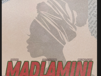 DoouShii & Scotts Maphuma - MaDlamini Ft. Mellow & Sleazy