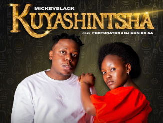 MickeyBlack - Kuyashintsha Ft. Fortunator & Dj Gun-Do SA