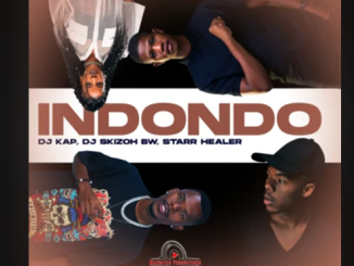 Dj Kap, Dj Skizoh BW, Starr Healer - Indondo