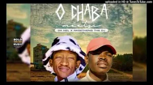 Dr Nel x Nkgetheng The DJ - O Chaba Meetsi 