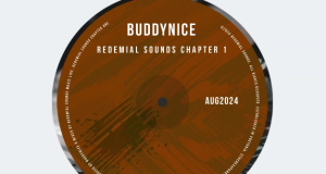 Buddynice - Show Me Something (Redemial Mix) 