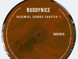 Buddynice - Show Me Something (Redemial Mix)