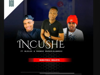 Incushe - Ngibuyisele Inhliziyo Ft. Mjolisi & Shenge Wasehlalankosi