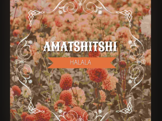 Amatshitshi - Halala